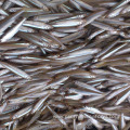 high quality iqf fish whitebait